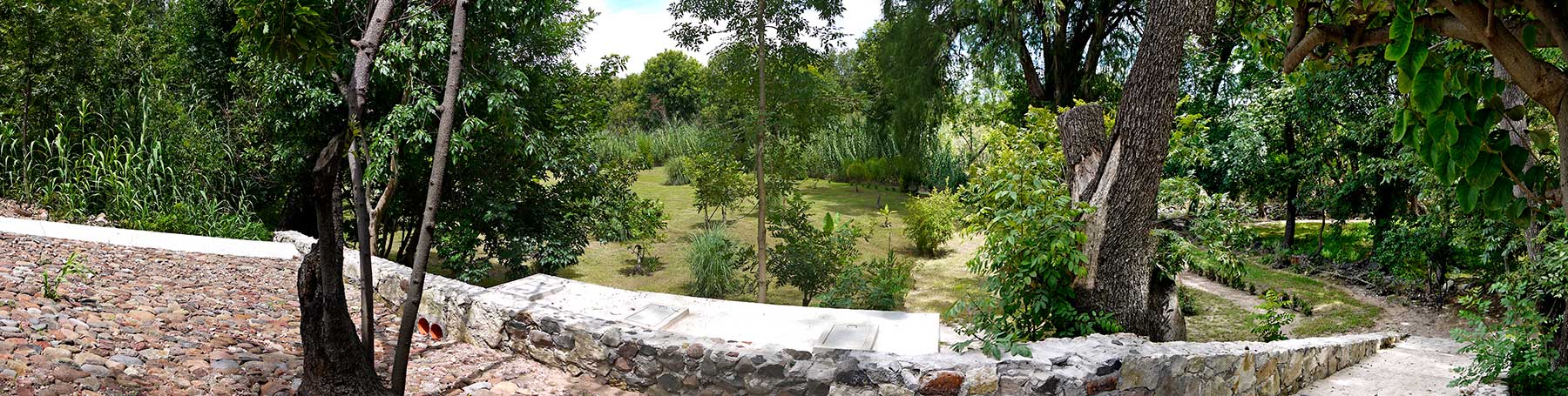 Inmobiliarai Paraiso de Tecozautla, entorno de gran vegetación